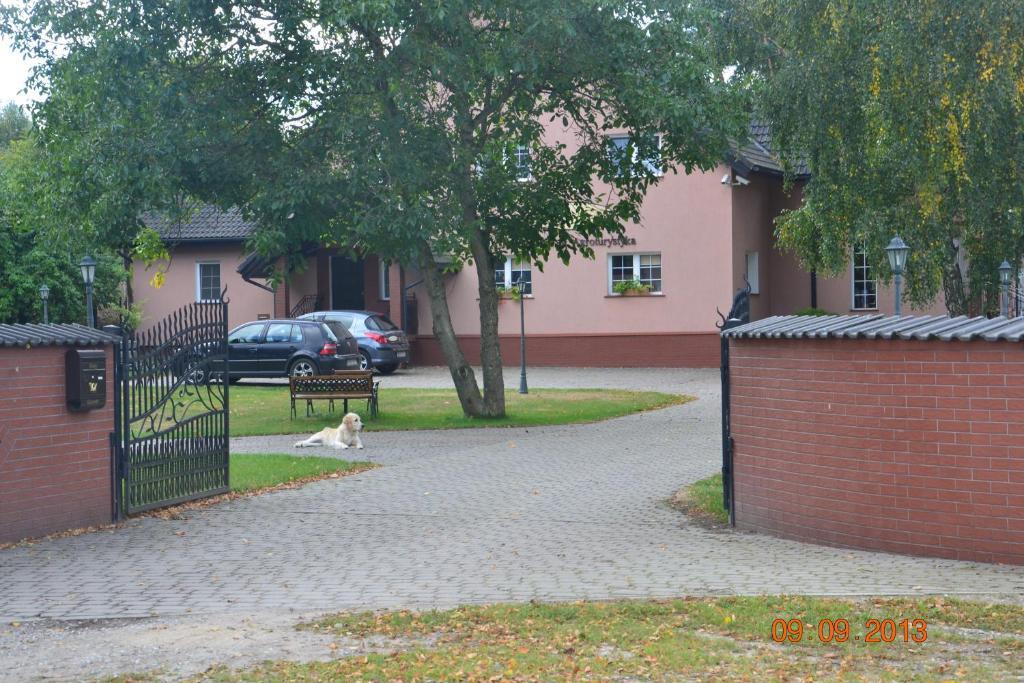 Domki W Zaciszu Ruś Habitación foto